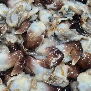 국내산 생물 검정 새조개 200g 1팩