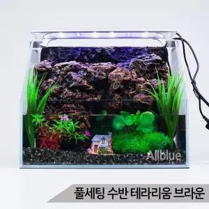 [하프클럽/올블루]풀세팅 수반 테라리움 브라운 오픈형 유리어항 폭포
