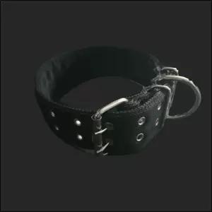 PP 밸트 개목줄 50mm 70cm 검정 러프웨어목애완줄 강아지목걸이 산책 개목 반려견 댕댕이목 강아지목 견목