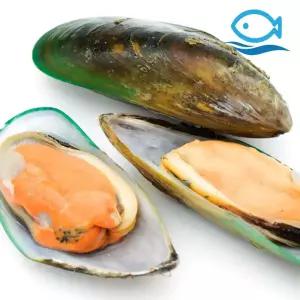 뉴질랜드 그린홍합 800g 홍합 찜 탕 구이 요리 초록잎 반탈각