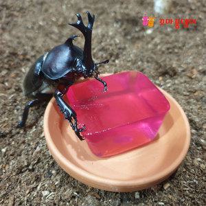 [꼬마풍뎅이] 곤충젤리만들기 체험키트/가루젤리