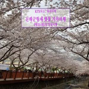 [KTX] 진해 군항제 벚꽃 기차여행(3/21-4/12 동대구역 당일)