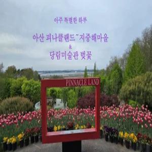 [무궁화] 아주 특별한 하루~ 피나클랜드&지중해마을&당림미술관 벚꽃 기차여행(당일)