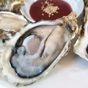 산지발송 고성  홍가리비 세트 석화 석굴 캠핑 요리 음식  찜용조개 구이 10kg외 1종