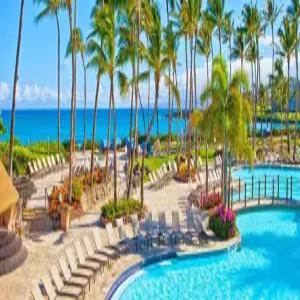 오아후 | 빅아일랜드 금까기