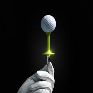 메탈 아이언 골프티 꽂이 높이고정  티꽃이 드라이버 티샷 골프용품 악세사리