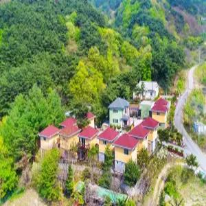 [강원 펜션] 원주 치악산송림펜션 (원주)