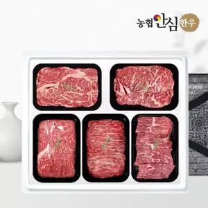 (농협안심한우) 1등급 한우 선물세트 구이정육3호 2kg (등/채/국/불/장)