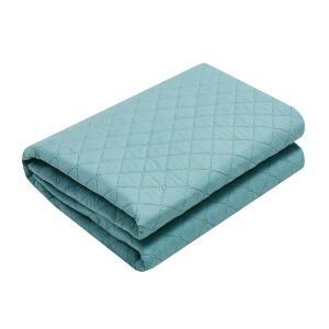 한일의료기 디지털 탄소열선 전기매트 전기요 아쿠아그린 싱글 110x200cm, 1개
