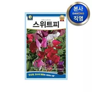 스위트피 씨앗 10립 . 스위티피 향수의원료 화분꽃 일년생 야생화 꽃 꽃씨 종자.