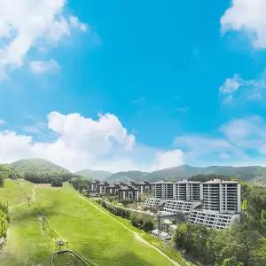 [평창] 2026 모나 용평리조트 춘계시즌 ROOM ONLY (~4/30)