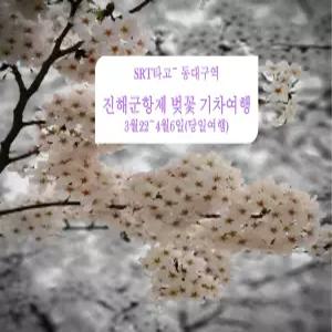[SRT] 진해 군항제 벚꽃 기차여행(3/21~4/12 동대구역 당일)