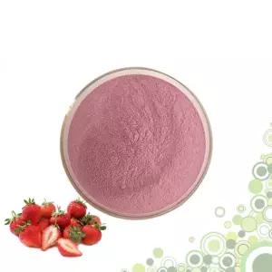 딸기농축분말 1kg