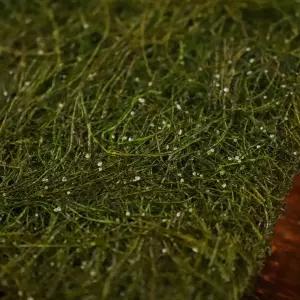 50년 전통 수제 국내산 해초류 수제 햇 구운감태 16매-반찬 김 영양