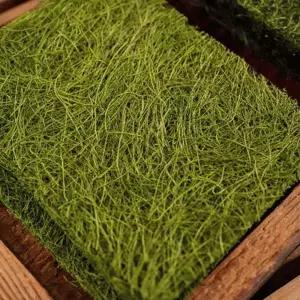 맛있고 담백한 국내산 해초류 햇 생감태 40매-반찬 김 영양