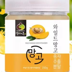 와일드 망고가루 와일드망고 종자 추출분말 파우더 분말 가루 250g 건재 OM