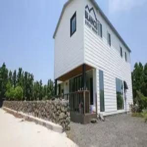 [제주] 서귀포 블랑 게스트하우스(제주숙소/서귀포숙소)