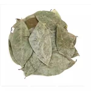 천연원료 그라비올라잎 200g