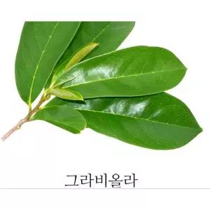 천연원료 그라비올라환 300g