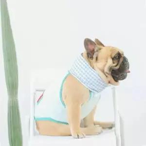 강아지 쿨목도리 쿨스카프 애견동반캠핑 냉각패드 애견용품 펫용품 머플러 반려동물용품 강아지용