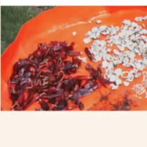 김장매트 김장용품 김장다라이 비닐 매트 깔개 놀이매트 배추 김장준비 160C