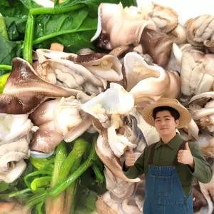 당일조업 발송 국내산 최상급 여수 검정 새조개 500g