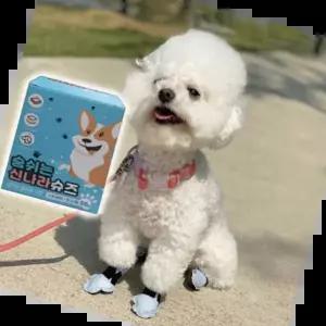 애견일회용신발 강아지 논슬립 일회용 신발 초소형 36매입 산책 1P
