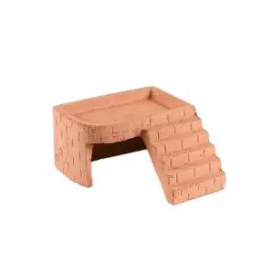 거북이 다이 소형 쉼터 커먼머스크터틀 레이저백 은신처