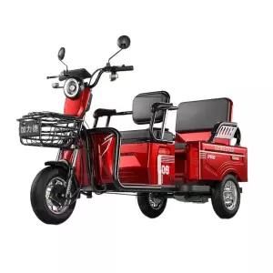 RODIT 전기 삼륜 스쿠터 전동 바이크 화물 세발 오토바이 삼발이