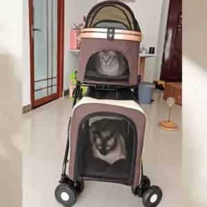 프리미엄 분리형 펫모차 강아지 유모차 반려견 카트 커피색 상층 하층 선분양