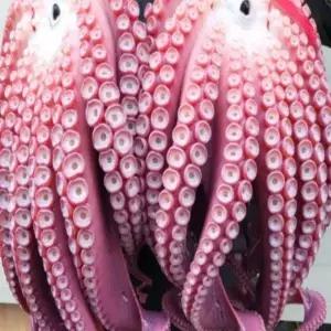 [하프클럽/오티마트]국내 동해안 참문어 자숙 참문어 소분(절단) 1kg