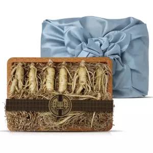 풍기인삼농협 풍기 수삼선물세트 대 750g x1개