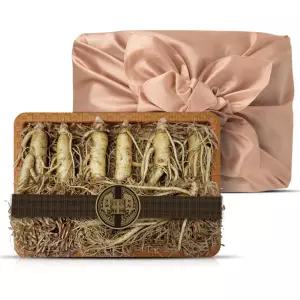 풍기인삼농협 풍기 수삼선물세트 특대 1kg x1개 신선수삼 농협인삼