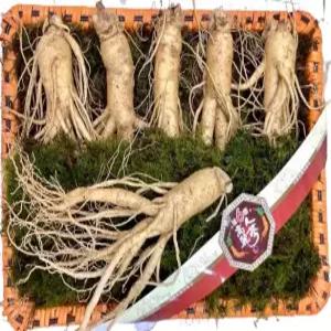 풍기인삼 A급 명절선물세트 왕대굵기 6년근 풍기인삼 수삼 750g x1개