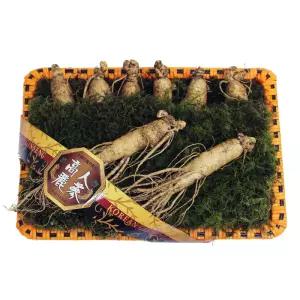 인삼 수삼선물세트 750g x1개