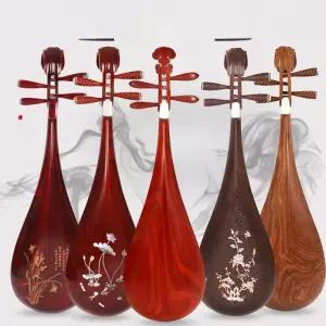 비파 공연용 무대 촬영용 당비파 전통 전문가용 입문용