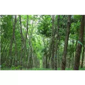 교구샘 어린이 열린학습용 사물함 (개폐식) B형-9인용 32-4