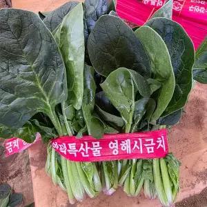 [하프클럽/오티마트]포항영해초4단(1.2kg내외)