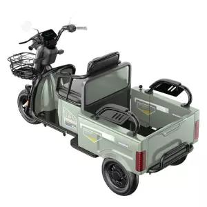 삼륜 전동차 농업용 세발 운반차 자전거 전기 스쿠터 삼발이 배터리