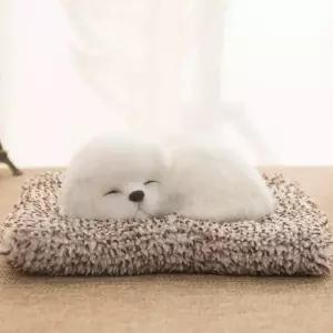 펀코 강아지 탈취제 제습 사무용 냄새제거 집들이선물 옷장 차량용 실내습기제거템 차량용제습제 사무용제