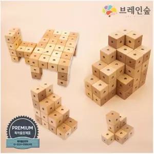 브레인숲 클링클링 자석큐브 100 유치원 어린이집 학원 교습 교구 단체 창의력