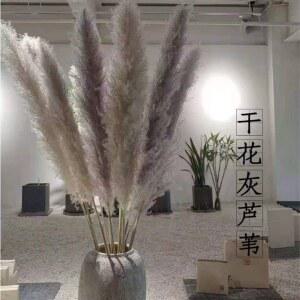 초대형 팜파스 잔디 인테리어 다발 갈대 웨딩 보존 꽃장식 생화같은 결혼식 꽃다발