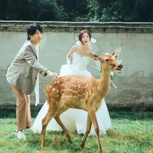 레트로 웨딩드레스 복고풍 스튜디오 레트로웨딩드레스 셀프