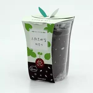 유아 초등 자연관찰 식물키우기 바질 허브 컵화분 만들기키트 2개 대체에너지