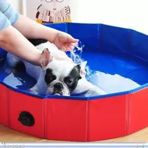 강아지입욕제 애견스파 강아지 스파 목욕 새끼