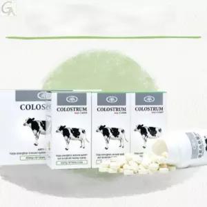 초유유산균캔디 학생 성장발육 아이 맛있는 먹기편한 영양제 사탕형태3병 대용량 프로바이오틱스