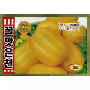 [셀러허브 생활리빙]2026 씨앗 꿀맛은천 참외