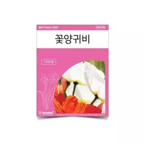 [셀러허브 생활리빙]베하몰 꽃씨 씨앗 꽃양귀비