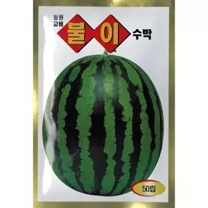 [셀러허브 생활리빙]2026 씨앗 불이 수박