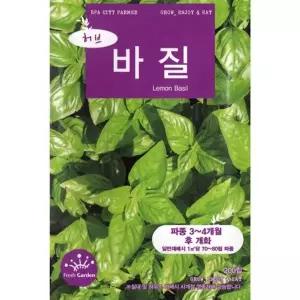 2026 씨앗 허브 레몬 바질